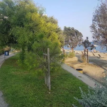 Behind One Apartment *